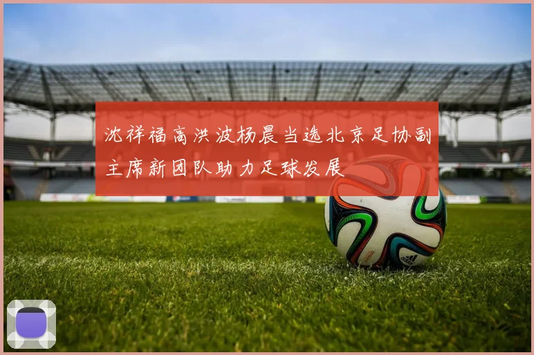沈祥福高洪波杨晨当选北京足协副主席新团队助力足球发展